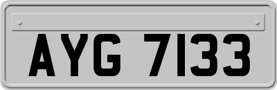 AYG7133