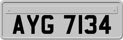 AYG7134