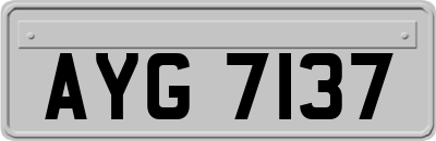 AYG7137