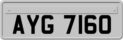 AYG7160