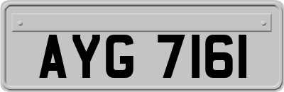 AYG7161