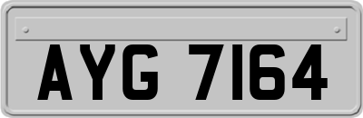 AYG7164