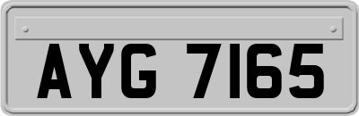 AYG7165