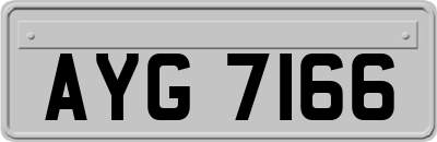 AYG7166