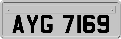 AYG7169