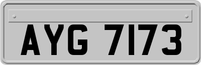 AYG7173