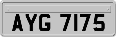 AYG7175