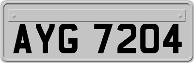 AYG7204