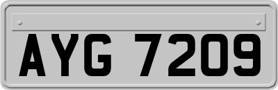 AYG7209