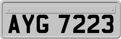 AYG7223