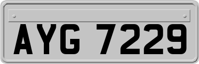 AYG7229