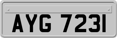 AYG7231