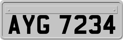 AYG7234