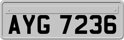 AYG7236