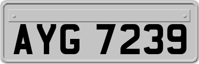 AYG7239