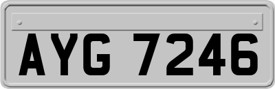 AYG7246