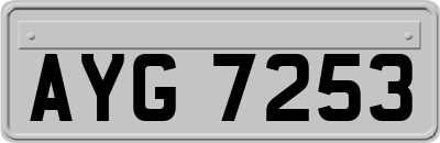 AYG7253