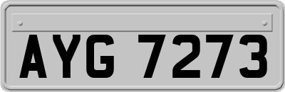 AYG7273