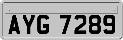 AYG7289