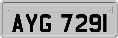 AYG7291