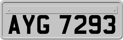AYG7293