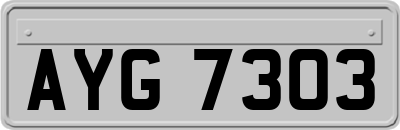 AYG7303