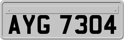 AYG7304