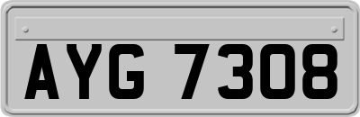 AYG7308