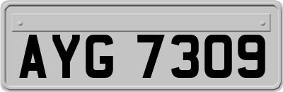 AYG7309
