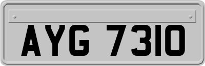 AYG7310