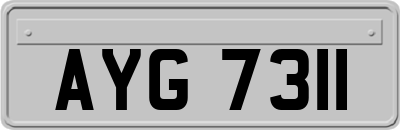 AYG7311