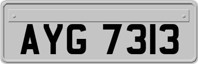 AYG7313