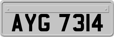 AYG7314