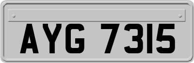 AYG7315