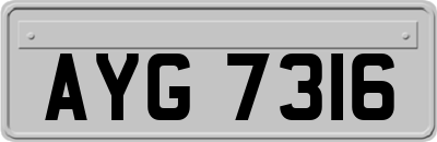AYG7316