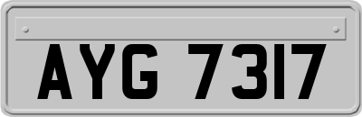 AYG7317