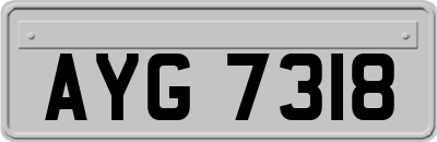 AYG7318