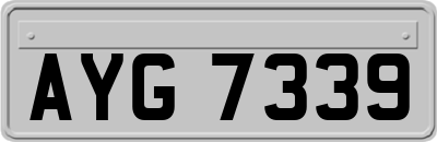 AYG7339