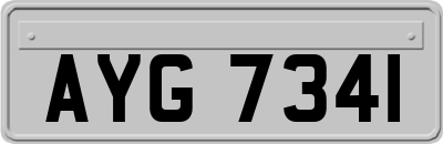 AYG7341