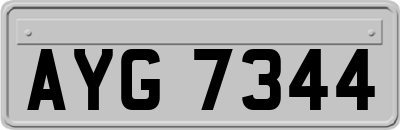 AYG7344
