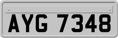 AYG7348