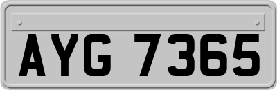 AYG7365