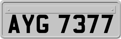 AYG7377