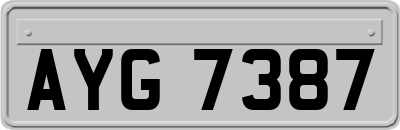 AYG7387