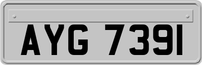 AYG7391