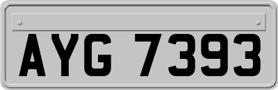 AYG7393