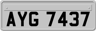 AYG7437