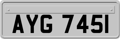 AYG7451