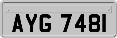 AYG7481