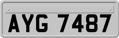 AYG7487